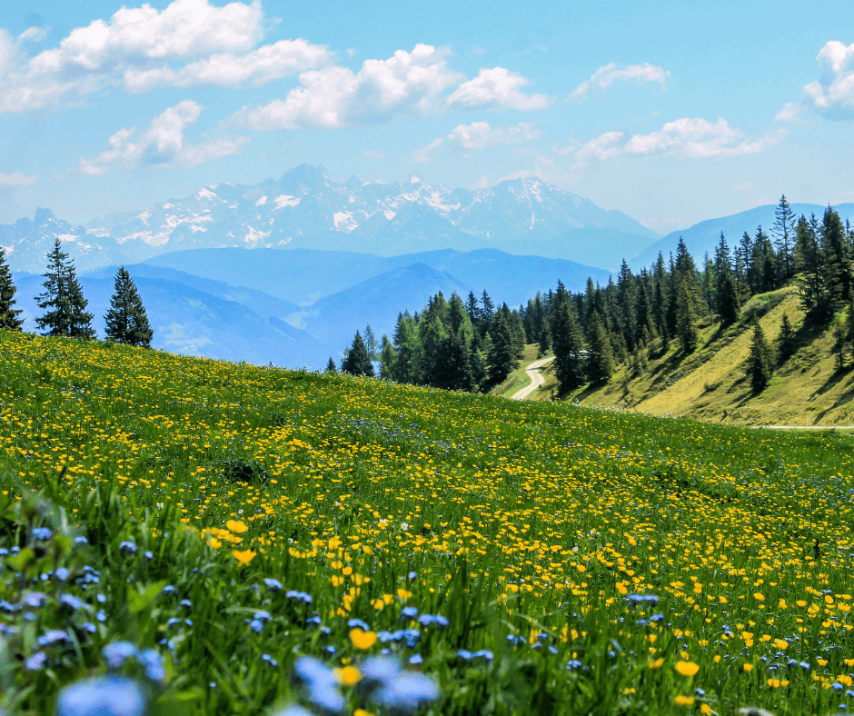 Scopri l’Altopiano di Pinè e il Monte Bondone